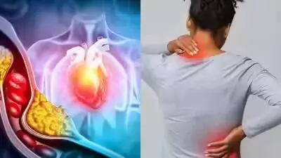 High Cholesterol: కొలెస్ట్రాల్ పెరిగితే ఇంత డేంజరా.? High Cholesterol: కొలెస్ట్రాల్ పెరిగితే ఇంత డేంజరా.?