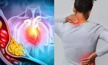 High Cholesterol: కొలెస్ట్రాల్ పెరిగితే ఇంత డేంజరా.? High Cholesterol: కొలెస్ట్రాల్ పెరిగితే ఇంత డేంజరా.?