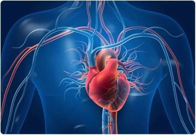 Heart Strong and Healthy: గుండె బలంగా ఉండాలంటే ఏం చేయాలి? Heart Strong and Healthy: గుండె బలంగా ఉండాలంటే ఏం చేయాలి?