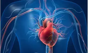 Heart Strong and Healthy: గుండె బలంగా ఉండాలంటే ఏం చేయాలి? Heart Strong and Healthy: గుండె బలంగా ఉండాలంటే ఏం చేయాలి?