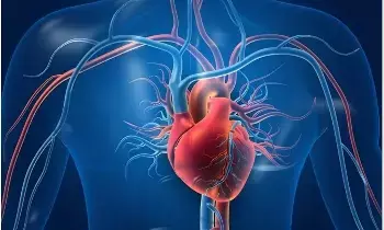 Heart Strong and Healthy: గుండె బలంగా ఉండాలంటే ఏం చేయాలి? Heart Strong and Healthy: గుండె బలంగా ఉండాలంటే ఏం చేయాలి?