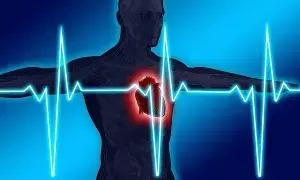 Heartbeat: గుండె వేగంగా కొట్టుకుంటే ప్రమాదమా? Heartbeat: గుండె వేగంగా కొట్టుకుంటే ప్రమాదమా?