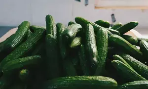 Healthy Kidneys: కిడ్నీలు ఆరోగ్యంగా ఉండాలంటే ఈ రసం తాగండి.. ఊహించని బెనిఫిట్స్ మీ సొంతం Healthy Kidneys: కిడ్నీలు ఆరోగ్యంగా ఉండాలంటే ఈ రసం తాగండి.. ఊహించని బెనిఫిట్స్ మీ సొంతం