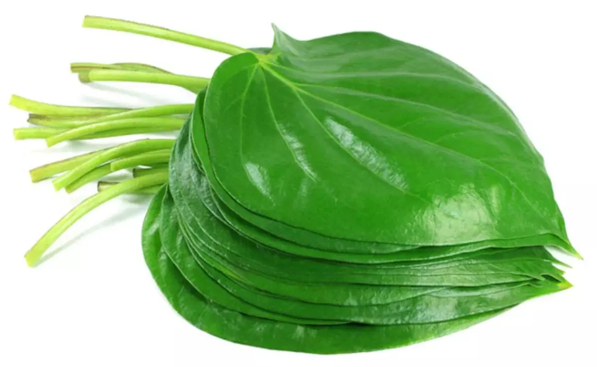 Betel Leaves: తమలపాకులతో ఆరోగ్య ప్రయోజనాలు ఎంటీ ?