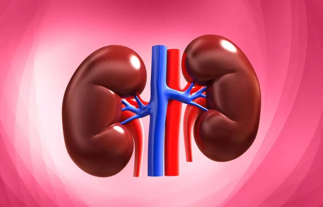 Kidneys Healthy: మూత్రపిండాలు ఆరోగ్యంగా ఉండాలంటే.. Kidneys Healthy: మూత్రపిండాలు ఆరోగ్యంగా ఉండాలంటే..