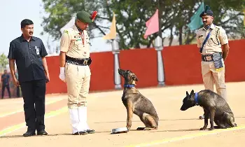 Simba: సింబా దూసుకొస్తోంది... Simba పట్టేస్తుంది!