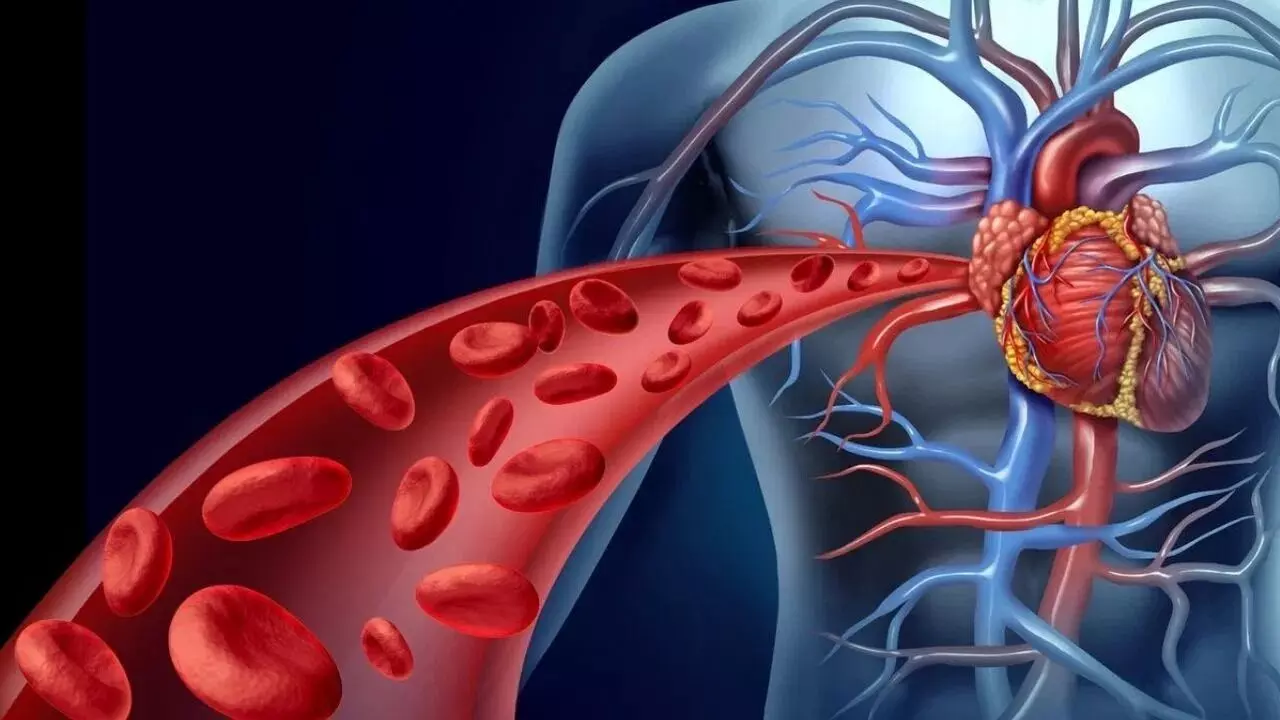 Blood Circulation in the Body: శరీరంలో రక్త ప్రసరణను మెరుగుపరచడానికి ఏంచేయాలో తెలుసా..? Blood Circulation in the Body: శరీరంలో రక్త ప్రసరణను మెరుగుపరచడానికి ఏంచేయాలో తెలుసా..?