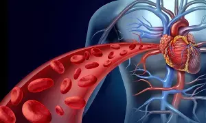 Blood Circulation in the Body: శరీరంలో రక్త ప్రసరణను మెరుగుపరచడానికి ఏంచేయాలో తెలుసా..? Blood Circulation in the Body: శరీరంలో రక్త ప్రసరణను మెరుగుపరచడానికి ఏంచేయాలో తెలుసా..?