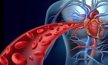 Blood Circulation in the Body: శరీరంలో రక్త ప్రసరణను మెరుగుపరచడానికి ఏంచేయాలో తెలుసా..? Blood Circulation in the Body: శరీరంలో రక్త ప్రసరణను మెరుగుపరచడానికి ఏంచేయాలో తెలుసా..?