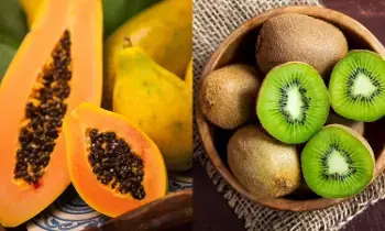Boost Platelet Count: ప్లేట్లెట్స్ సంఖ్య పెంచే అద్భుతమైన పండ్లు ఇవే.. Boost Platelet Count: ప్లేట్లెట్స్ సంఖ్య పెంచే అద్భుతమైన పండ్లు ఇవే..
