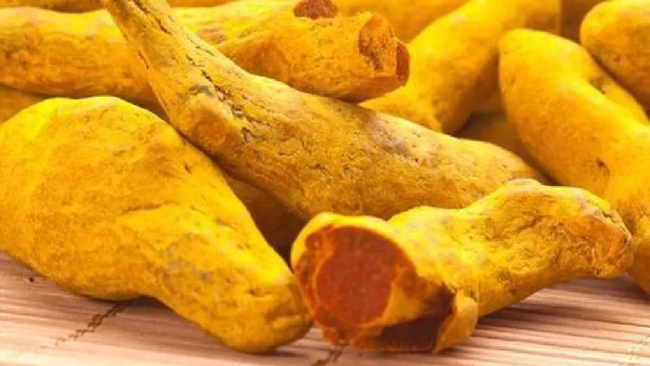 Significance of Turmeric in Sanatan Dharma: సనాతన ధర్మంలో పసుపు ప్రాముఖ్యత గురించి మీకు తెలుసా..?