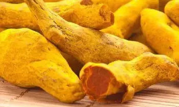 Significance of Turmeric in Sanatan Dharma: సనాతన ధర్మంలో పసుపు ప్రాముఖ్యత గురించి మీకు తెలుసా..? Significance of Turmeric in Sanatan Dharma: సనాతన ధర్మంలో పసుపు ప్రాముఖ్యత గురించి మీకు తెలుసా..?