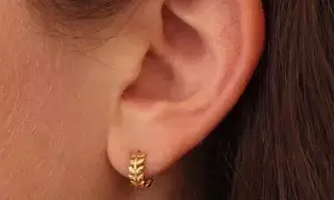 Gold Earrings: బంగారు చెవిపోగులు: కేవలం అందానికే కాదు ఆరోగ్యానికి కూడా..! Gold Earrings: బంగారు చెవిపోగులు: కేవలం అందానికే కాదు ఆరోగ్యానికి కూడా..!