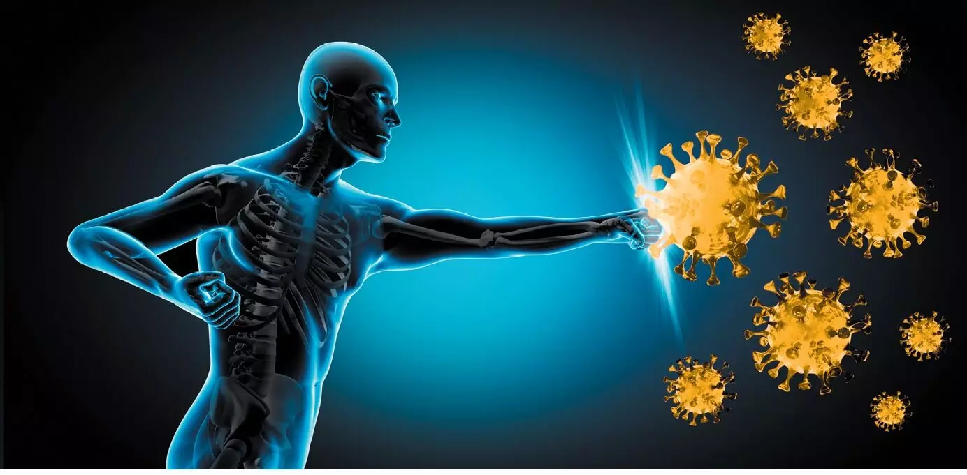 Boost Immunity: రోగ నిరోధక శక్తి పెరగాలంటే ఏం చేయాలి? Boost Immunity: రోగ నిరోధక శక్తి పెరగాలంటే ఏం చేయాలి?