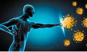 Boost Immunity: రోగ నిరోధక శక్తి పెరగాలంటే ఏం చేయాలి? Boost Immunity: రోగ నిరోధక శక్తి పెరగాలంటే ఏం చేయాలి?
