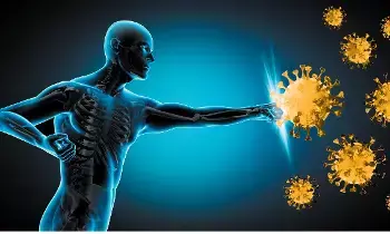 Boost Immunity: రోగ నిరోధక శక్తి పెరగాలంటే ఏం చేయాలి? Boost Immunity: రోగ నిరోధక శక్తి పెరగాలంటే ఏం చేయాలి?