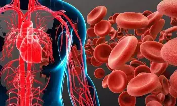 The Causes of Anemia: రక్తహీనతకు కారణాలేంటి.? The Causes of Anemia: రక్తహీనతకు కారణాలేంటి.?