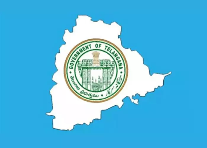 Revenue Department: రెవెన్యూశాఖలో కొత్త నియామకాలు: జీపీవోలు, సర్వేయర్లతో సిబ్బంది వృద్ధి