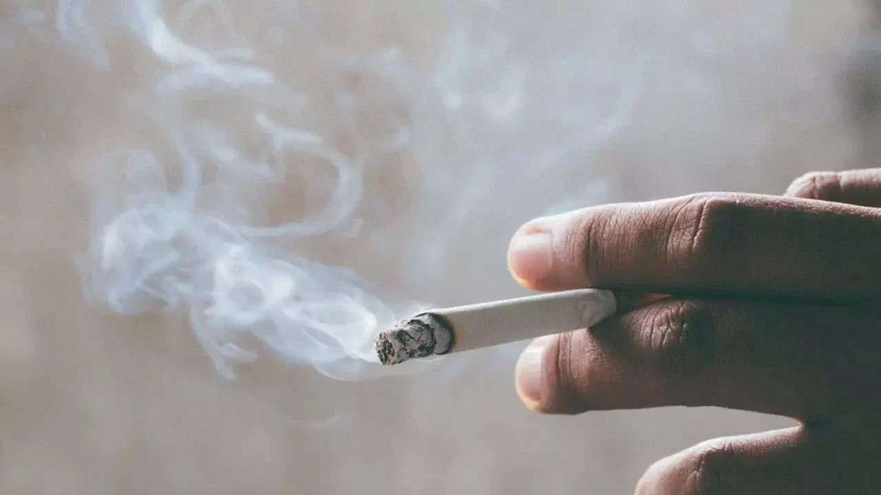 Lungs Safe: పొగ తాగకుండా ఉంటే మీ ఊపిరితిత్తులు సేఫ్ Lungs Safe: పొగ తాగకుండా ఉంటే మీ ఊపిరితిత్తులు సేఫ్