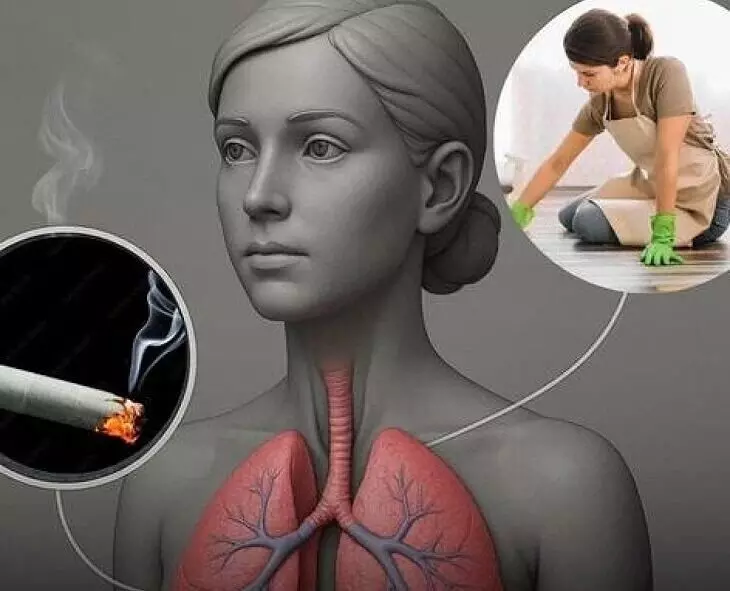 Lungs: క్లీనింగ్ ప్రొడక్ట్స్తో ఊపిరితిత్తులపై ప్రభావం Lungs: క్లీనింగ్ ప్రొడక్ట్స్తో ఊపిరితిత్తులపై ప్రభావం