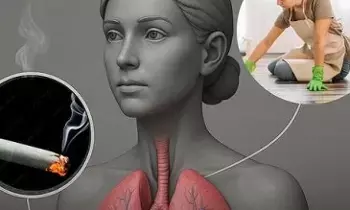 Lungs: క్లీనింగ్ ప్రొడక్ట్స్తో ఊపిరితిత్తులపై ప్రభావం Lungs: క్లీనింగ్ ప్రొడక్ట్స్తో ఊపిరితిత్తులపై ప్రభావం