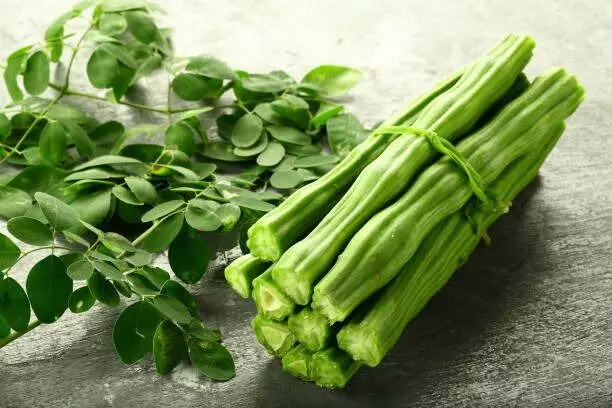 Drumsticks: ములక్కాయ తింటే ఎన్ని ప్రయోజనాలో తెలుసా.? Drumsticks: ములక్కాయ తింటే ఎన్ని ప్రయోజనాలో తెలుసా.?