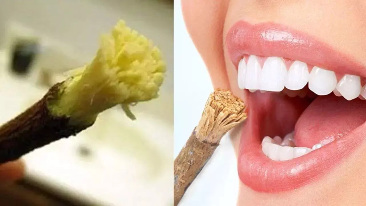 Neem leaves: టూత్ బ్రెష్ కాదు.. వీటితో దంతాలు తోముకుంటే ఎన్ని లాభాలో తెలుసా..?