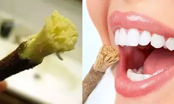 Neem leaves: టూత్ బ్రెష్ కాదు.. వీటితో దంతాలు తోముకుంటే ఎన్ని లాభాలో తెలుసా..? Neem leaves: టూత్ బ్రెష్ కాదు.. వీటితో దంతాలు తోముకుంటే ఎన్ని లాభాలో తెలుసా..?