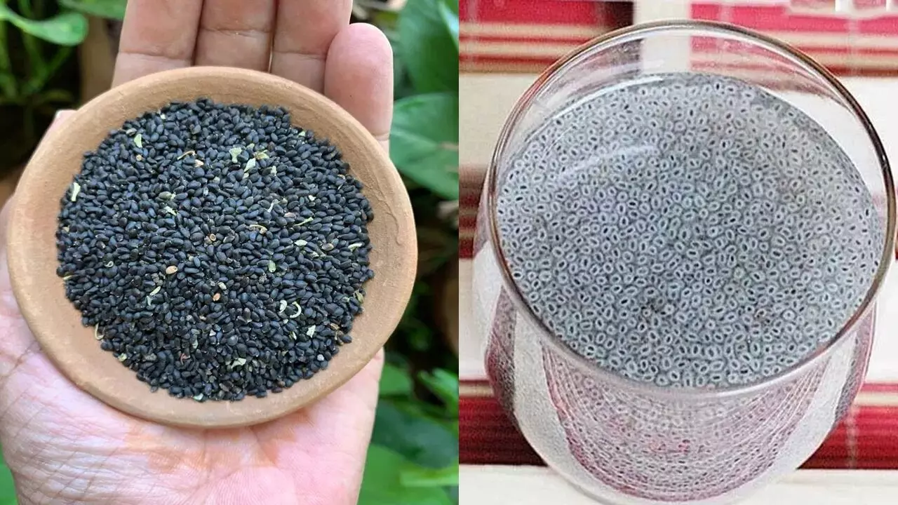 Sabja Seeds: సబ్జా గింజలతో అద్భుత ప్రయోజనాలు