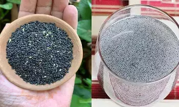 Sabja Seeds: సబ్జా గింజలతో అద్భుత ప్రయోజనాలు Sabja Seeds: సబ్జా గింజలతో అద్భుత ప్రయోజనాలు
