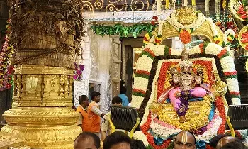 Srivari Annual Brahmotsavam: శ్రీవారి సాలకట్ల బ్రహ్మోత్సవాలకు శాస్త్రోక్తంగా అంకురార్పణ Srivari Annual Brahmotsavam: శ్రీవారి సాలకట్ల బ్రహ్మోత్సవాలకు శాస్త్రోక్తంగా అంకురార్పణ