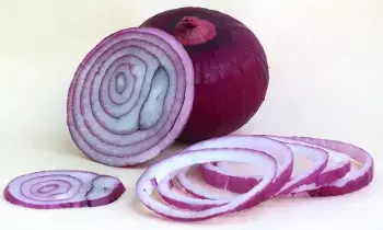 Onion: ఉల్లిగడ్డ కొలెస్ట్రాల్, షుగర్  ను అదుపులో ఉంచుతుందా? Onion: ఉల్లిగడ్డ కొలెస్ట్రాల్, షుగర్  ను అదుపులో ఉంచుతుందా?