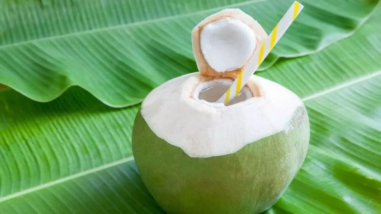 Coconut Water: కొబ్బరి నీళ్లు తాగుతున్నారా..? ఈ విషయాలు తప్పక తెలుసుకోండి..