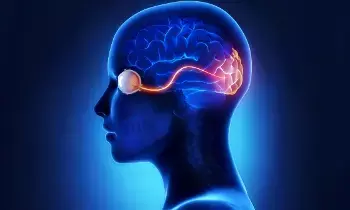 Alzheimer’s: మీకు ఈ లక్షణాలుంటే..అల్జీమర్స్ ఉన్నట్టే Alzheimer’s: మీకు ఈ లక్షణాలుంటే..అల్జీమర్స్ ఉన్నట్టే