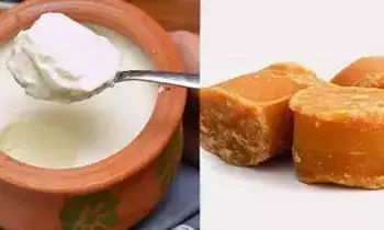 Curd Mixed with Jaggery: పెరుగులో బెల్లం కలిపి తింటే ఇన్ని లాభాలు Curd Mixed with Jaggery: పెరుగులో బెల్లం కలిపి తింటే ఇన్ని లాభాలు