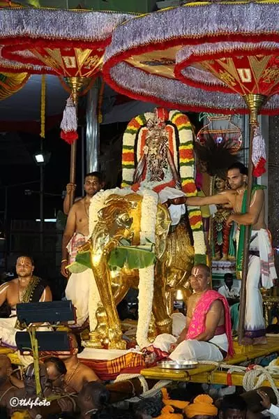 Srivari Brahmotsavam: గజ వాహనంపై శ్రీ మలయప్ప కనువిందు