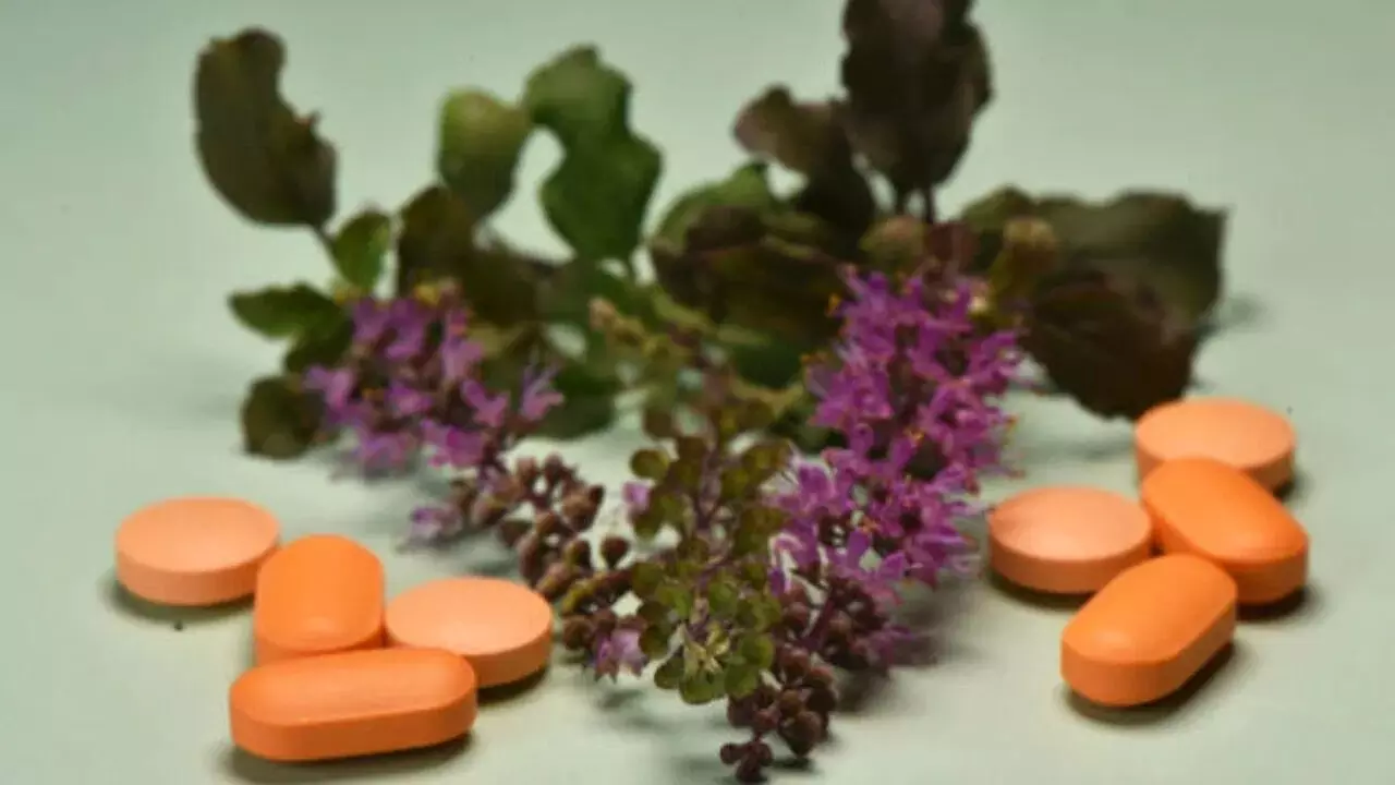 Ayurvedic Supplements: రోగనిరోధక శక్తి కోసం ఆయుర్వేద సప్లిమెంట్లా..? జర భద్రం.. ఇవి మీ కాలేయాన్ని దెబ్బతీయొచ్చు..!