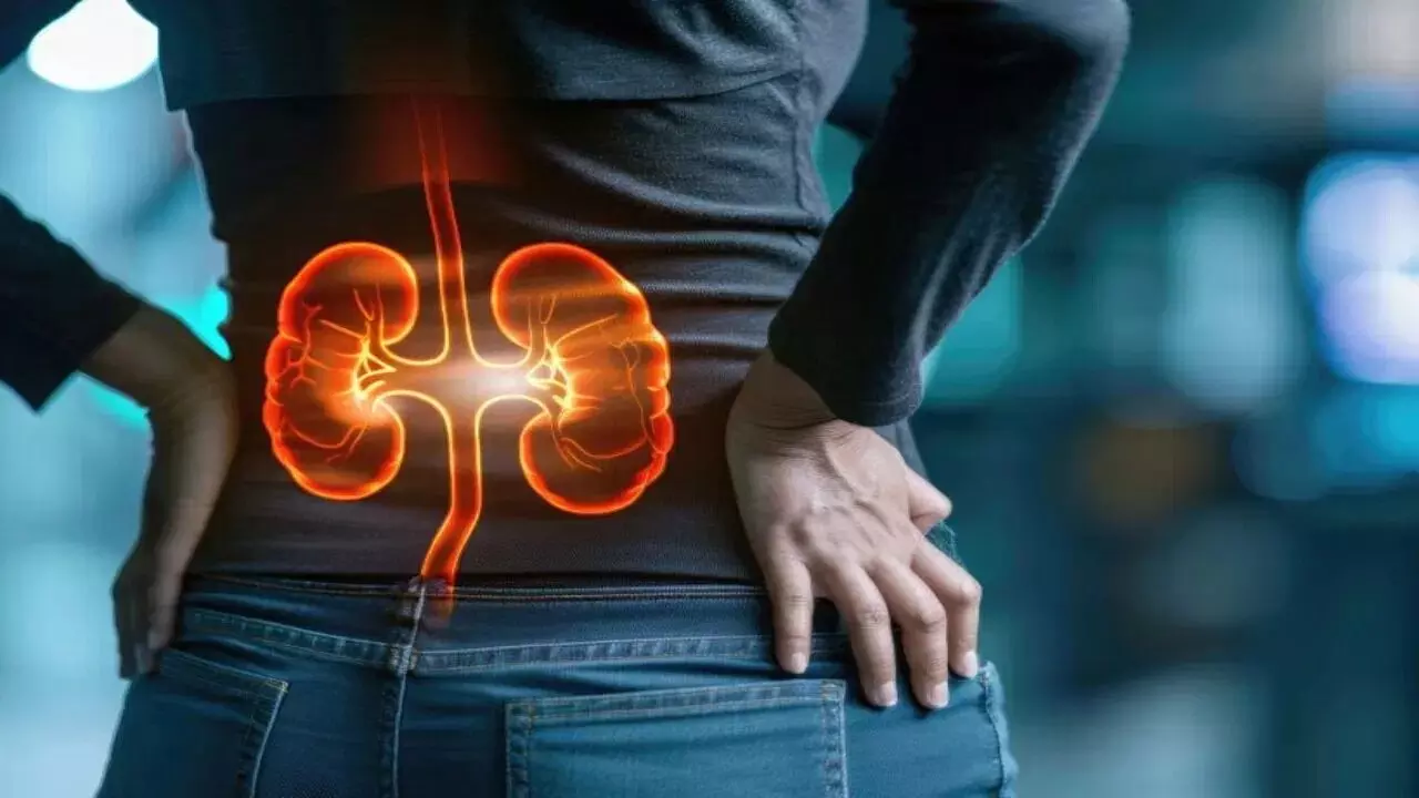 Kidneys in Danger: మీ కిడ్నీలు డేంజర్‌లో ఉన్నాయా..? ఈ 5 లక్షణాలను లైట్ తీసుకోవద్దు..