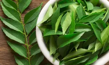 Curry Leaves: కరివేపాకుతో కలిగే లాభాలు ఏంటో తెలుసా? Curry Leaves: కరివేపాకుతో కలిగే లాభాలు ఏంటో తెలుసా?