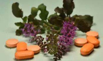 Ayurvedic Supplements: రోగనిరోధక శక్తి కోసం ఆయుర్వేద సప్లిమెంట్లా..? జర భద్రం.. ఇవి మీ కాలేయాన్ని దెబ్బతీయొచ్చు..! Ayurvedic Supplements: రోగనిరోధక శక్తి కోసం ఆయుర్వేద సప్లిమెంట్లా..? జర భద్రం.. ఇవి మీ కాలేయాన్ని దెబ్బతీయొచ్చు..!