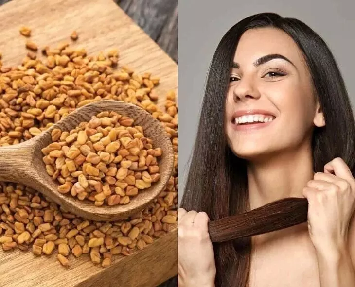 Fenugreek Seeds: మెంతులతో మెరిసే కురులు.. ఎలా అంటే ?