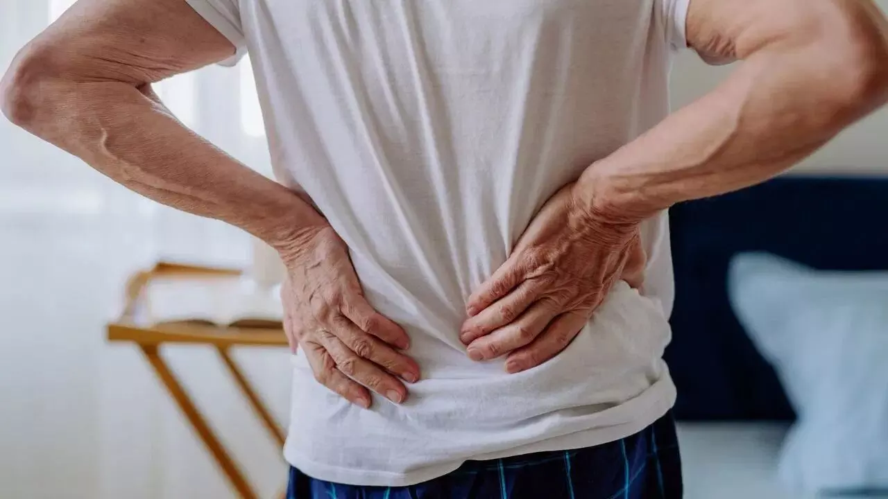 Spine Health at Risk:  వెన్నెముక ఆరోగ్యం.. ఈ ఆహారాలకు దూరంగా ఉండకపోతే అంతే సంగతులు..