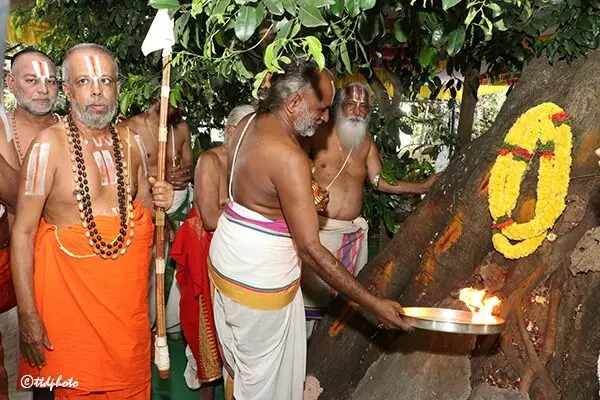 Grand Bagh Savari Festival Celebrated in Tirumala: తిరుమలలో కన్నులపండువగా భాగ్ సవారి ఉత్సవం