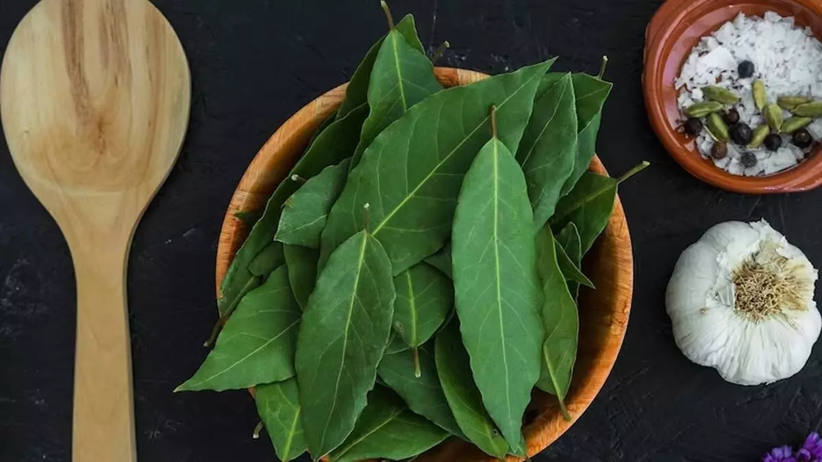 Curry Leaves: కరివేపాకును లైట్ తీసుకుంటున్నారా.?దీంతో ఎన్ని ప్రయోజనాలో తెలుసా?