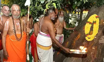 Grand Bagh Savari Festival Celebrated in Tirumala: తిరుమలలో కన్నులపండువగా భాగ్ సవారి ఉత్సవం Grand Bagh Savari Festival Celebrated in Tirumala: తిరుమలలో కన్నులపండువగా భాగ్ సవారి ఉత్సవం