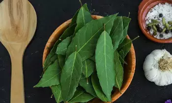 Curry Leaves: కరివేపాకును లైట్ తీసుకుంటున్నారా.?దీంతో ఎన్ని ప్రయోజనాలో తెలుసా? Curry Leaves: కరివేపాకును లైట్ తీసుకుంటున్నారా.?దీంతో ఎన్ని ప్రయోజనాలో తెలుసా?