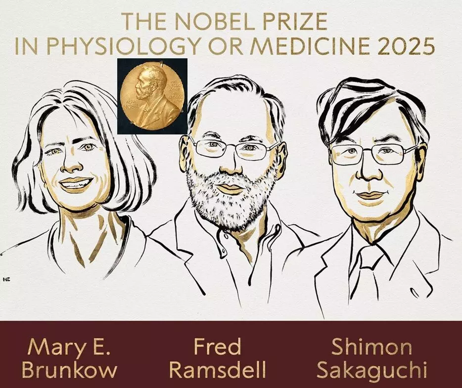 Nobel Prize 2025:  నోబెల్ బహుమతి-2025:  వైద్యశాస్త్రంలో మూడు మందికి గొప్ప గుర్తింపు!