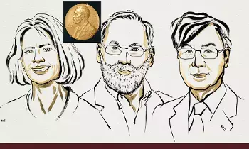 Nobel Prize 2025:  నోబెల్ బహుమతి-2025:  వైద్యశాస్త్రంలో మూడు మందికి గొప్ప గుర్తింపు! Nobel Prize 2025:  నోబెల్ బహుమతి-2025:  వైద్యశాస్త్రంలో మూడు మందికి గొప్ప గుర్తింపు!