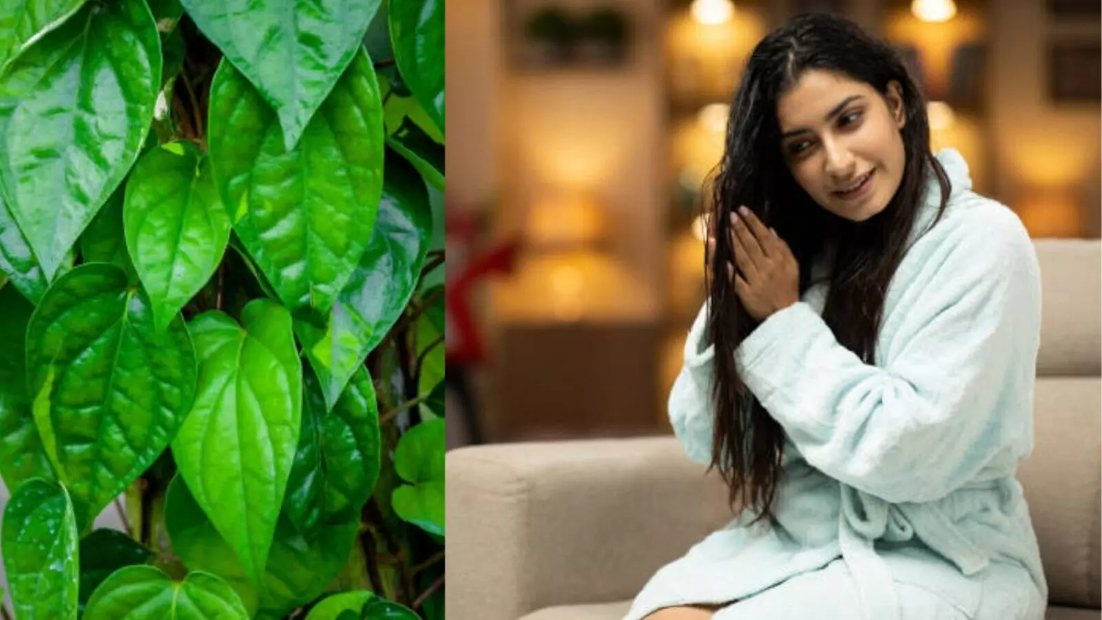 Betel Leaves for Silky Hair: పట్టులాంటి జుట్టుకు తమలపాకు.. ప్రయోజనాలు తెలుసుకోండి!