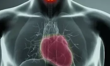 Thyroid Issue:  థైరాయిడ్ సమస్య: గుండెకు పొంచి ఉన్న పెను ముప్పు! Thyroid Issue:  థైరాయిడ్ సమస్య: గుండెకు పొంచి ఉన్న పెను ముప్పు!